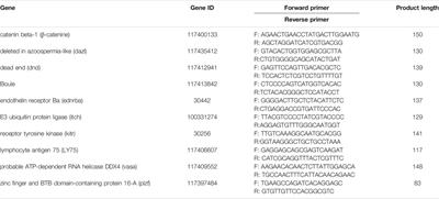 Isolation and Characterization of Highly Pure Type A Spermatogonia From Sterlet (Acipenser ruthenus) Using Flow-Cytometric Cell Sorting